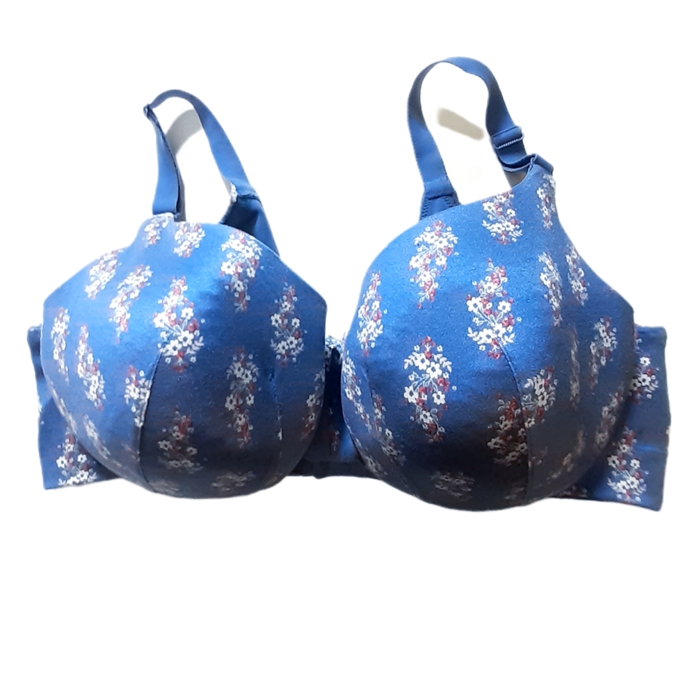 Cacique Floral Periwinkle Bra